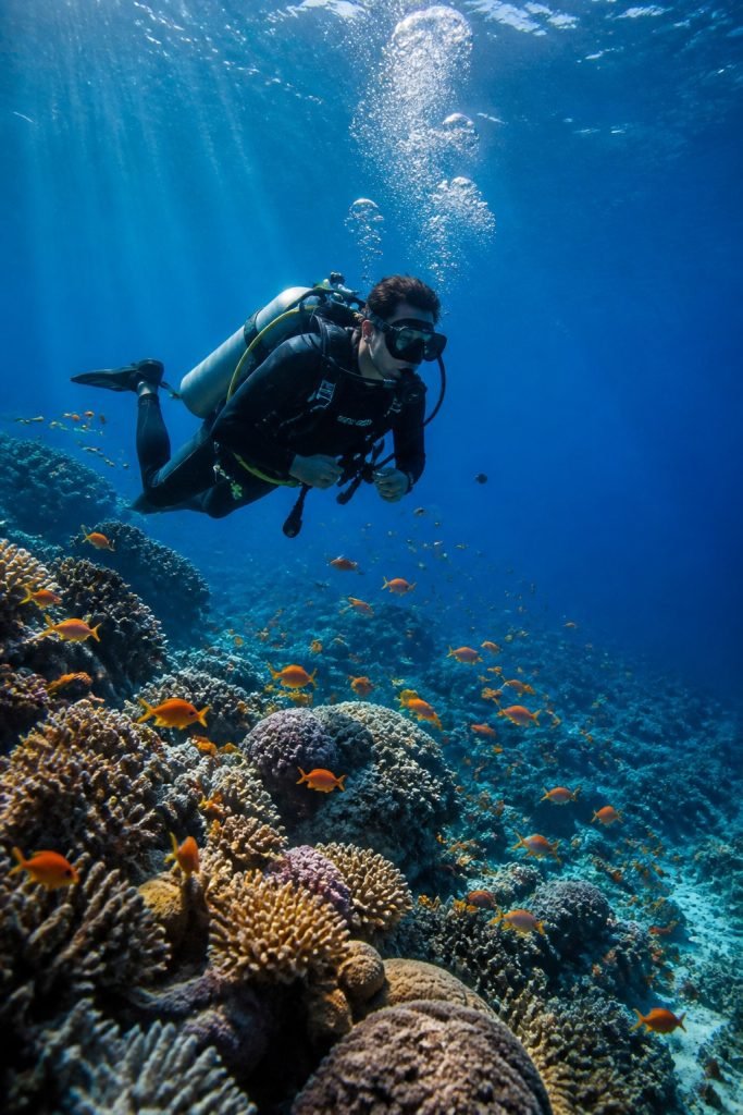 Diving