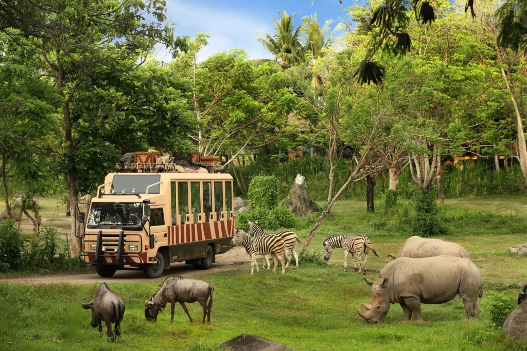 Safari park