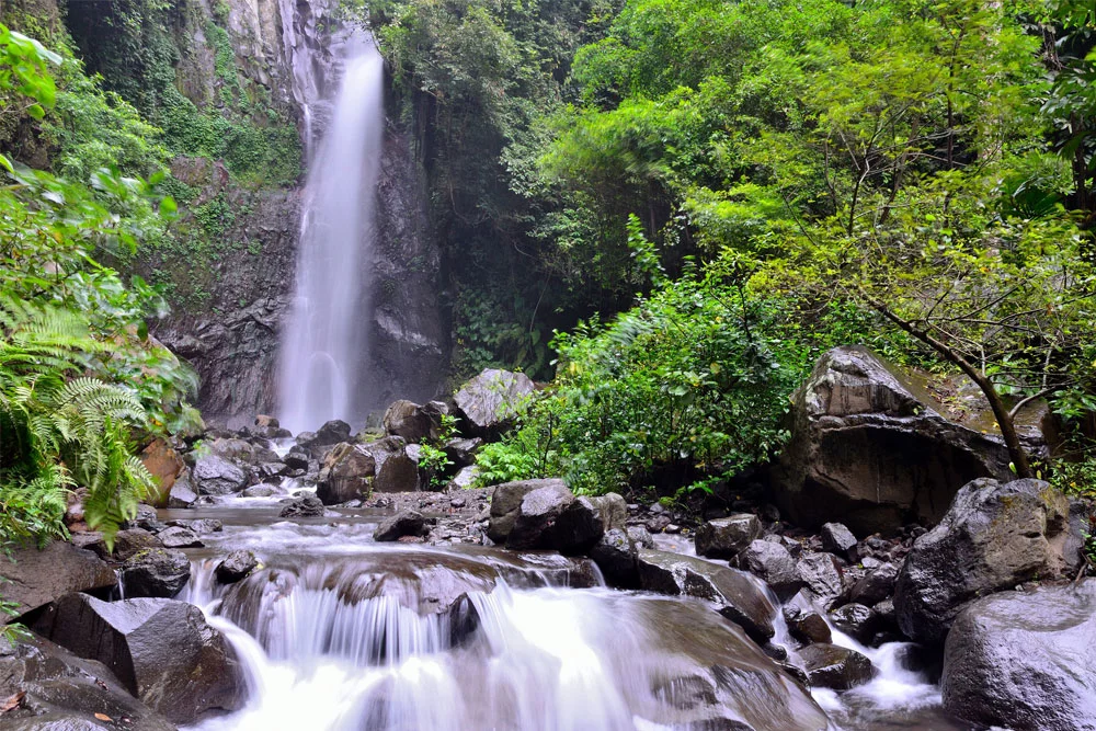 Market & waterfall