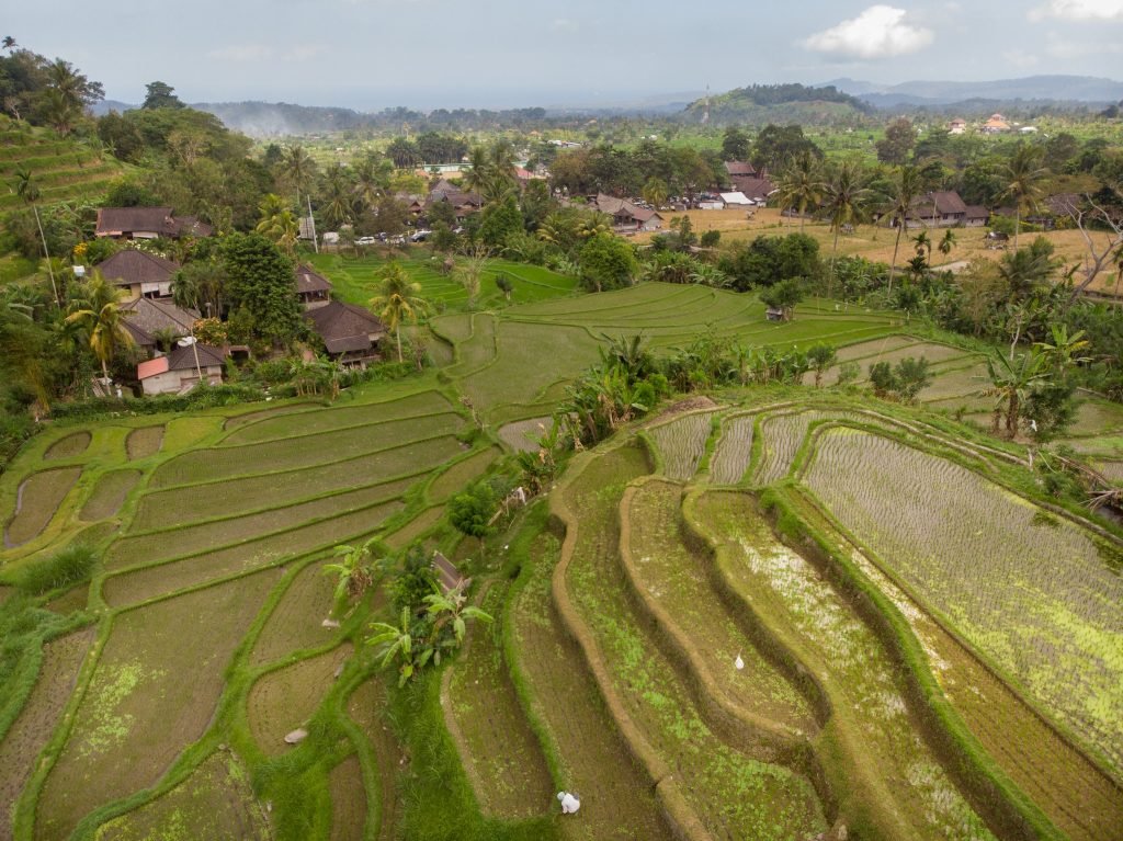 Sightseeing tours around Bali