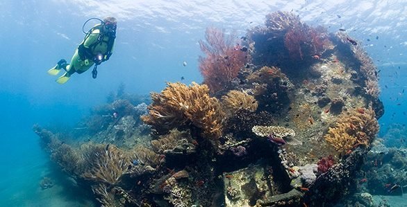 Diving